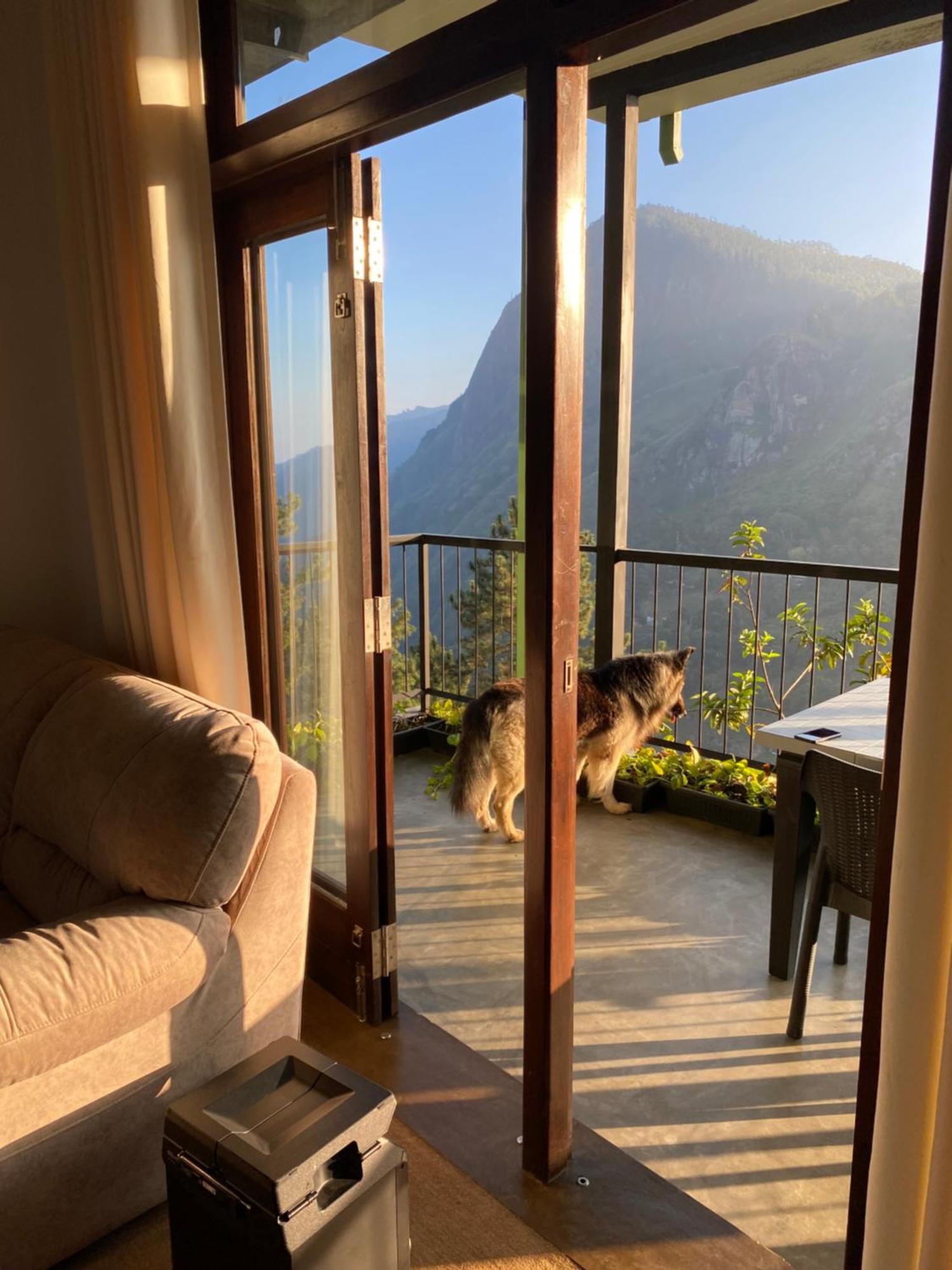 Star Gaze Lodge Ella Εξωτερικό φωτογραφία